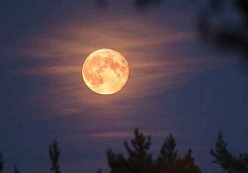 BACTERİA COULD TURN THE MOON İNTO A FARM FOR LUNAR COLONİES, SCİENTİSTS SAY