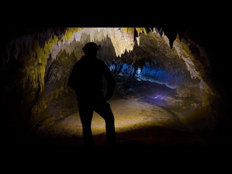 5.5 Milyon Yıldır Yeraltında Yaşayan Canlılar | Movile Mağarası