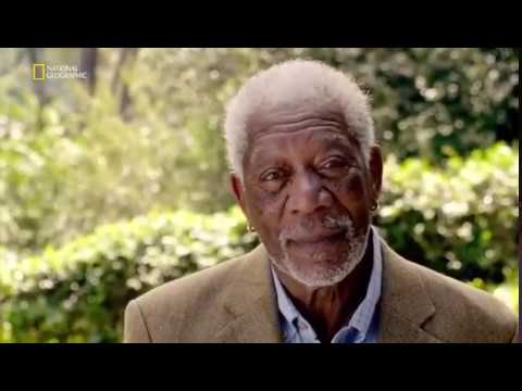 Morgan Freeman İle İnancın Hikayesi Yaratılış Türkçe Belgesel Dublaj
